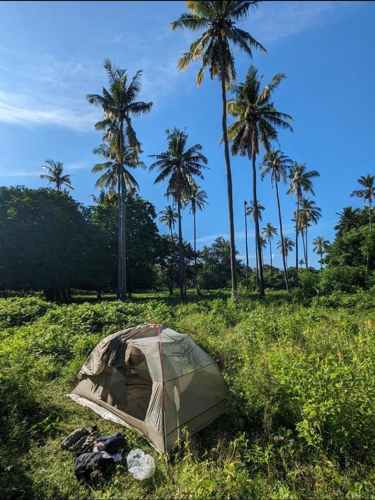 Tente plantée sous les cocotiers