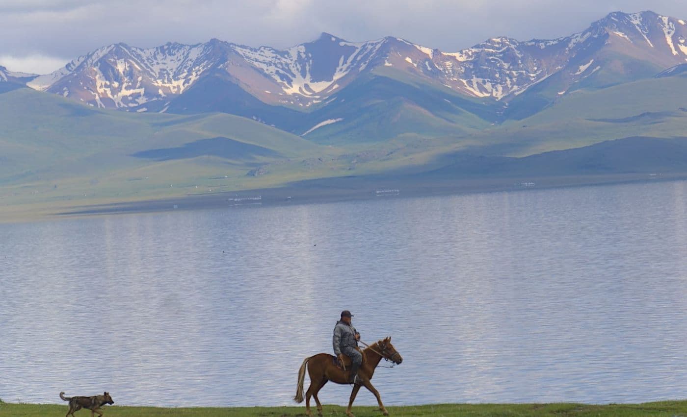 Un cavalier au bord du lac