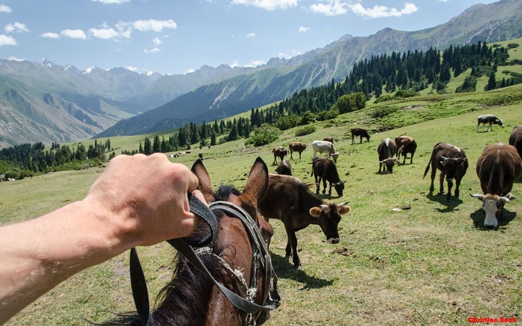 Paysage du Kirghizistan