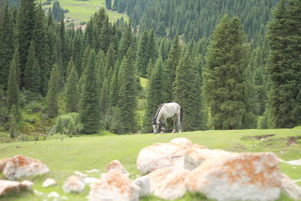 Paysage du Kirghizistan
