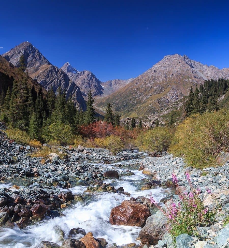 Un torrent de montagne