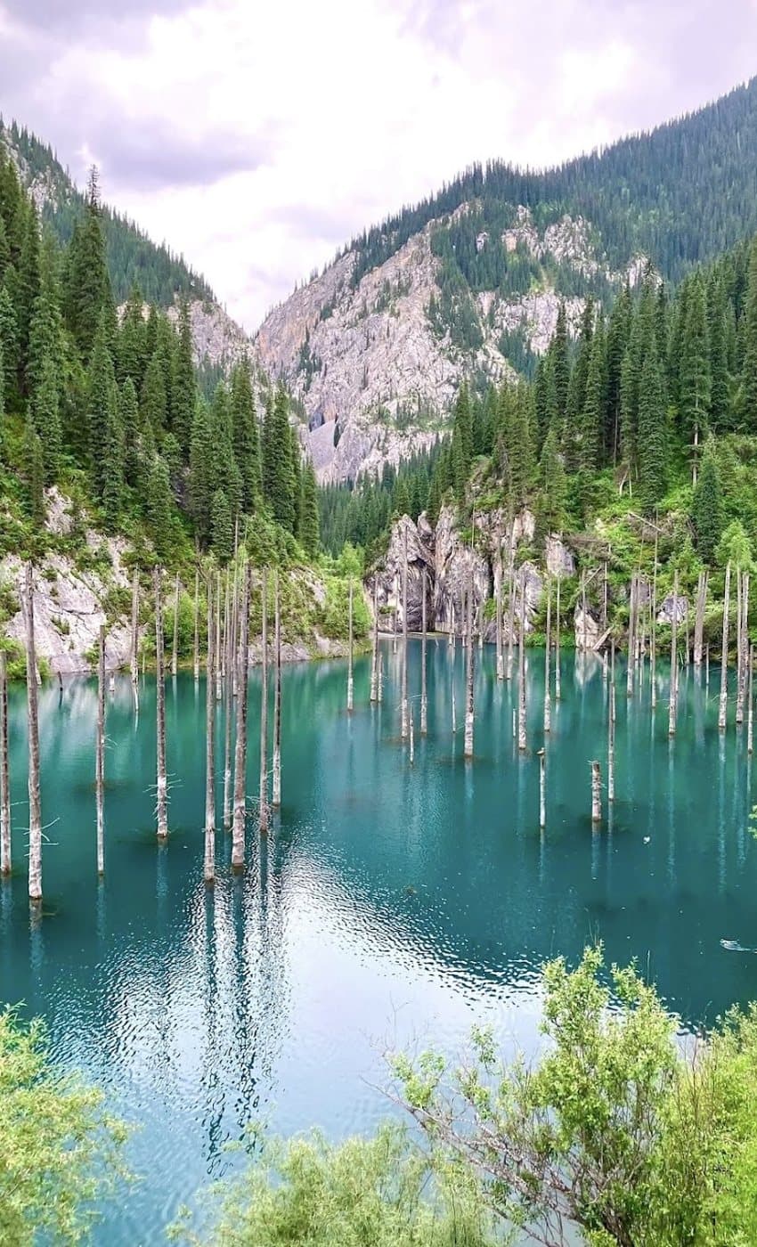 Le lac Kaindy et sa forêt engloutie, entre montagnes et sapins